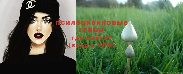 стафф Алзамай