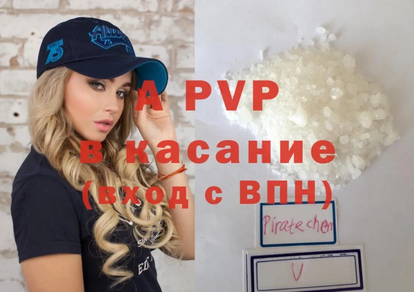 стафф Алзамай
