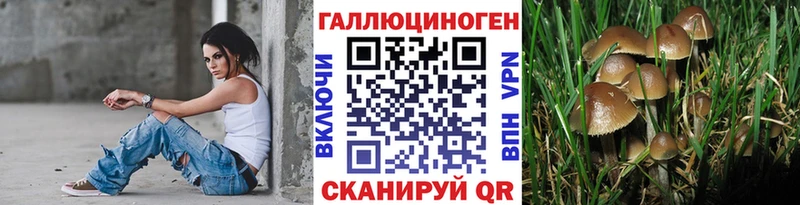Псилоцибиновые грибы Psilocybe  Талдом 